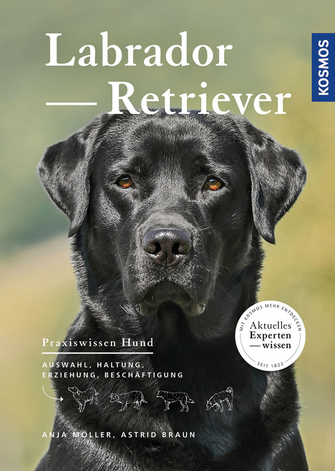 Labrador Retriever - Anja Möller, Astrid Braun