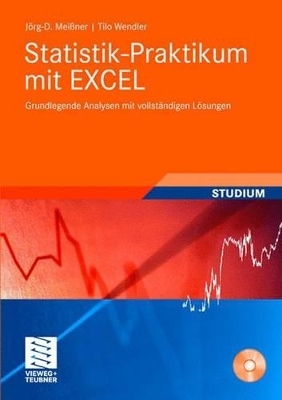 Statistik-Praktikum mit Excel