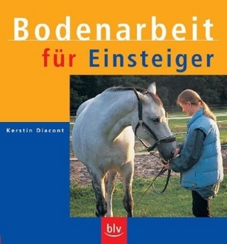 Bodenarbeit für Einsteiger