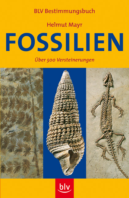 Fossilien - Helmut Mayr