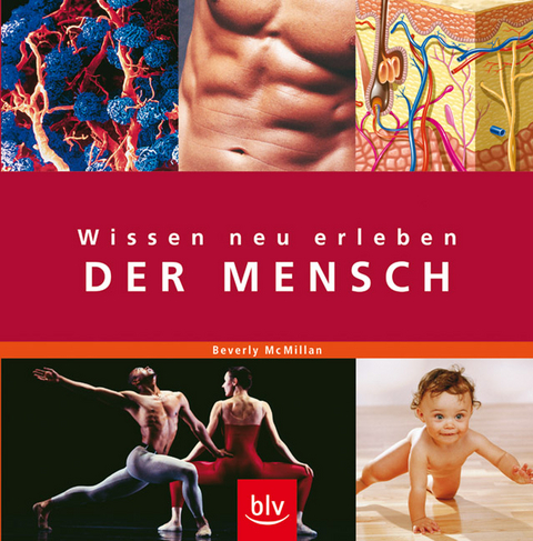Wissen neu erleben Der Mensch - Beverly McMillan