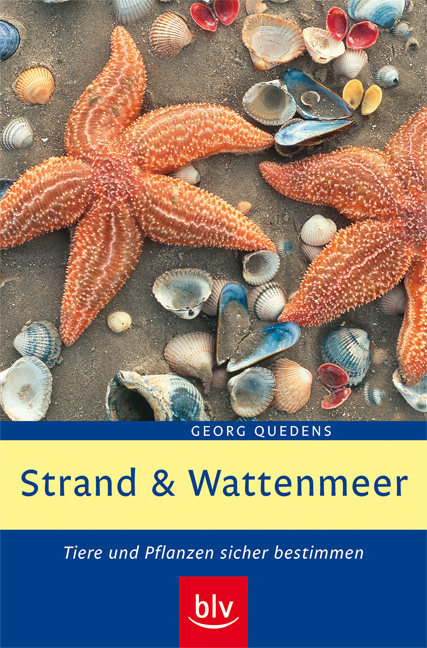 Strand und Wattenmeer - Georg Quedens
