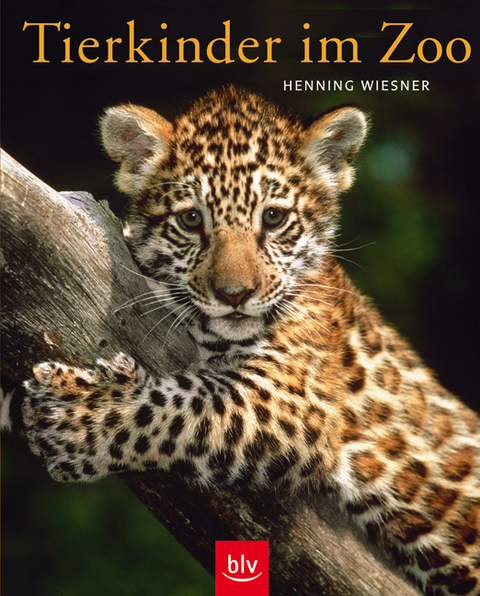 Tierkinder im Zoo - Henning Wiesner