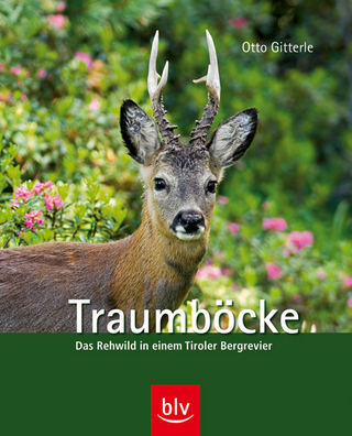 Traumböcke