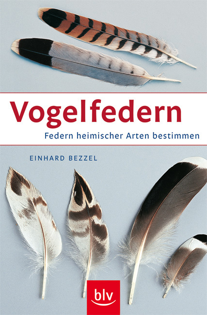 Vogelfedern - Einhard Bezzel