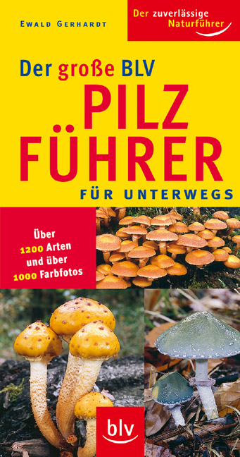 Der grosse BLV Pilzf&uuml;hrer f&uuml;r unterwegs - Ewald Gerhardt