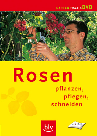 Rosen pflanzen, pflegen, schneiden