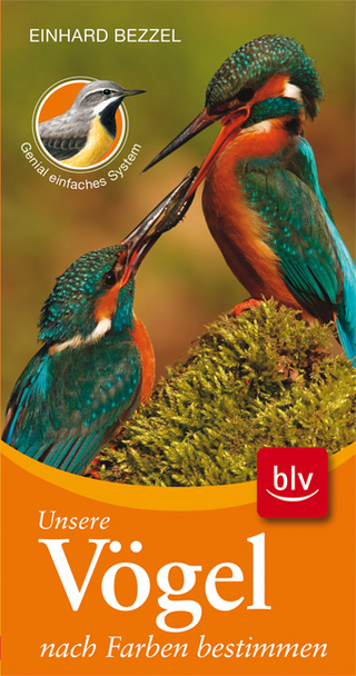 Unsere Vögel nach Farben bestimmen