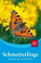 Schmetterlinge