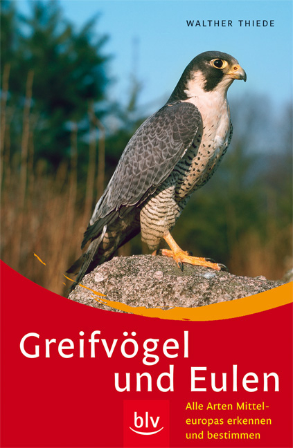 Greifv&ouml;gel und Eulen - Walther Thiede