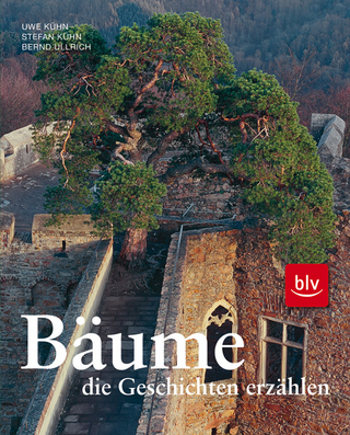 Bäume, die Geschichten erzählen