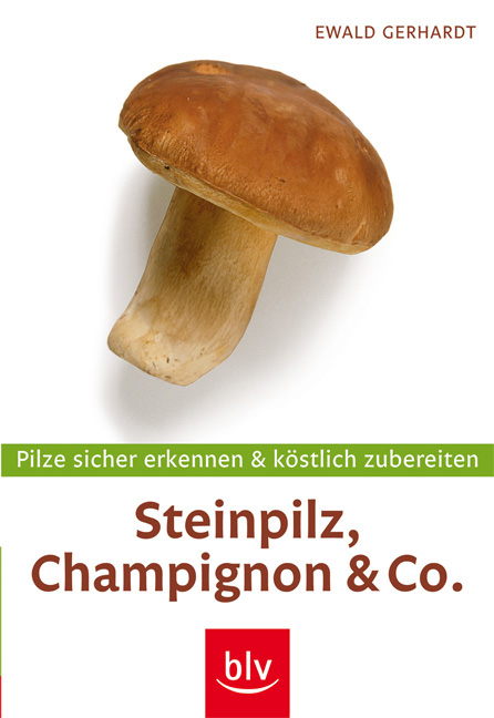 Steinpilz, Champignon & Co. - mit Messer - Ewald Gerhardt
