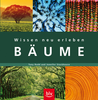Wissen neu erleben: Bäume