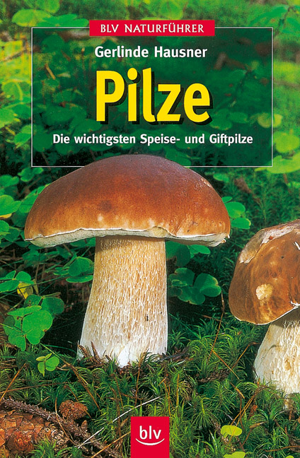 Pilze - Gerlinde Hausner