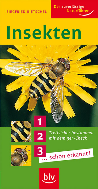 Insekten
