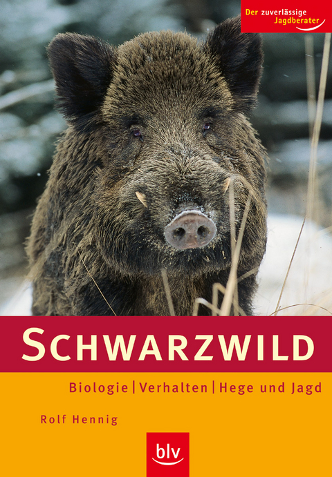 Schwarzwild - Rolf Hennig