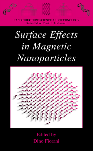Surface Effects in Magnetic Nanoparticles