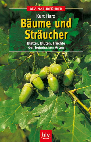 Bäume und Sträucher