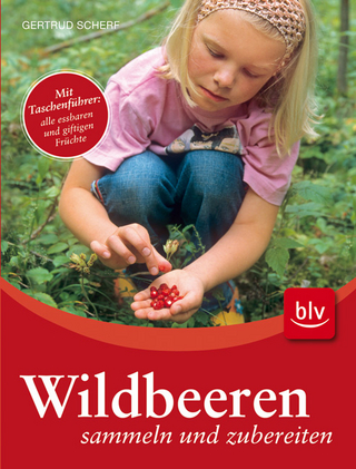 Wildbeeren sammeln und zubereiten