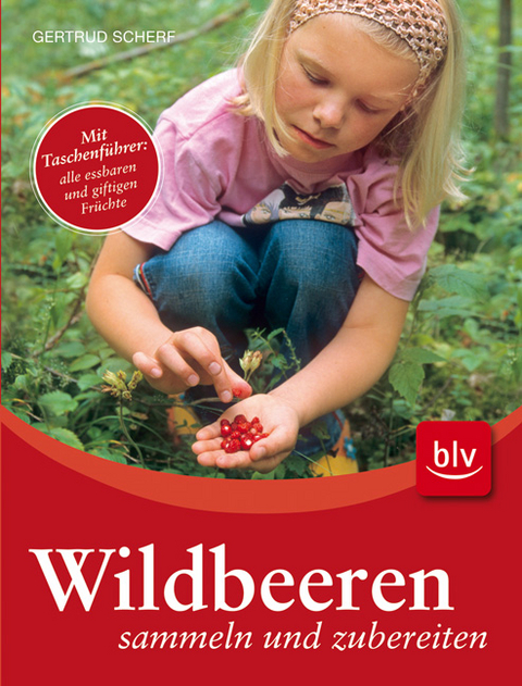 Wildbeeren sammeln und zubereiten - Gertrud Scherf