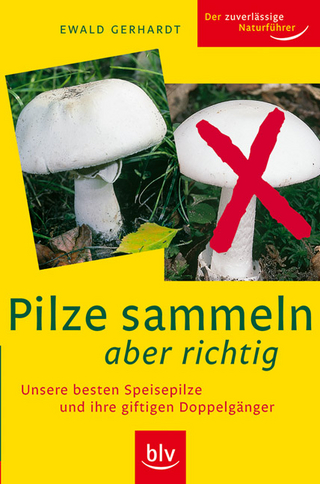 Pilze sammeln aber richtig