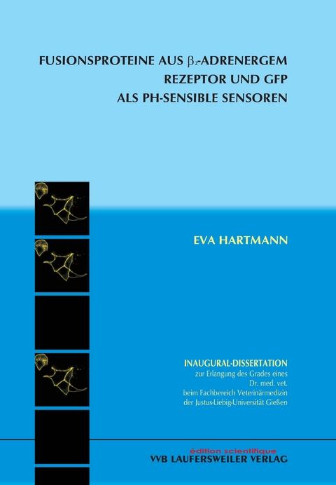 Fusionsproteine aus &beta;2-adrenergem Rezeptor und GFP als pH-sensible - Eva Hartmann