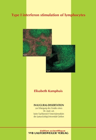 Type I interferon stimulation of lymphocytes