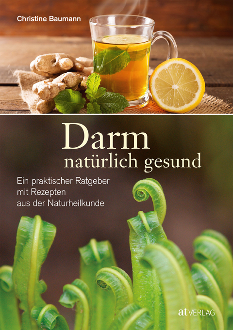 Darm - nat&uuml;rlich gesund - Christine Baumann