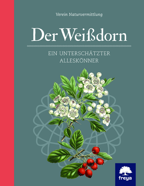 Der Wei&szlig;dorn