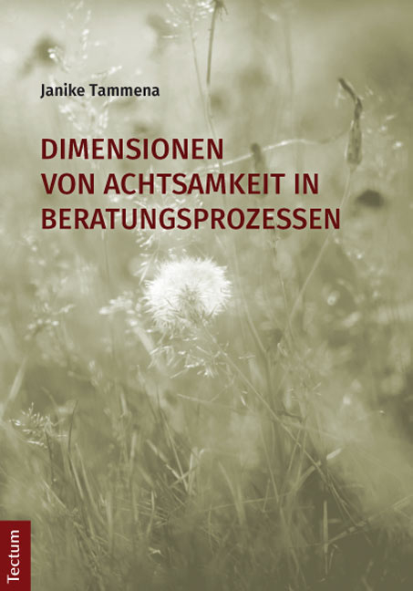 Dimensionen von Achtsamkeit in Beratungsprozessen - Janike Tammena