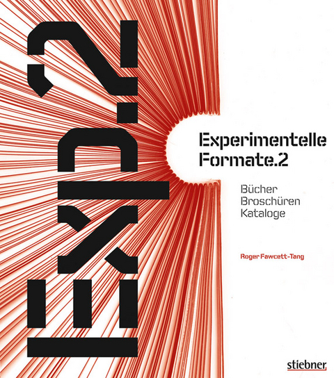 Experimentelle Formate 2 - Roger Fawcett-Tang