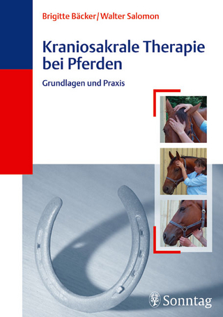 Kraniosakrale Osteopathie bei Pferden