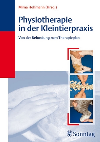 Physiotherapie in der Kleintierpraxis