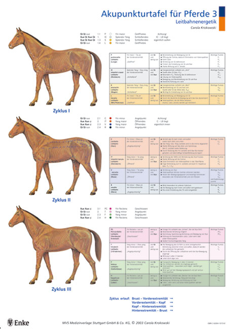 Akupunkturtafeln f&uuml;r Pferde 3 + 4 - Carola Krokowski