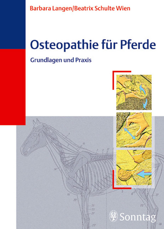 Osteopathie beim Pferd