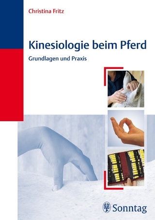 Kinesiologie beim Pferd