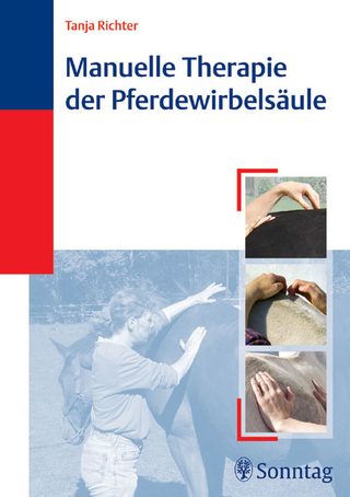 Manuelle Therapie der Pferdewirbelsäule