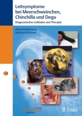 Leitsymptome bei Meerschweinchen, Chinchilla und Degu