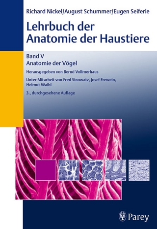 Lehrbuch der Anatomie der Haustiere Band V