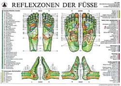 Reflexzonen der F&uuml;&szlig;e (Tafel A5) - Hanne Marquardt