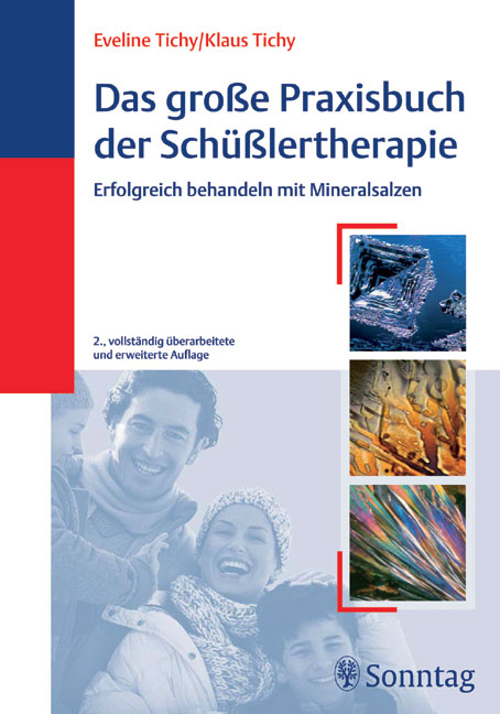 Das gro&szlig;e Praxisbuch der Sch&uuml;&szlig;lertherapie - Eveline Tichy, Klaus Tichy