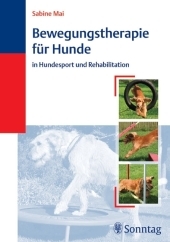 Bewegungstherapie für Hunde