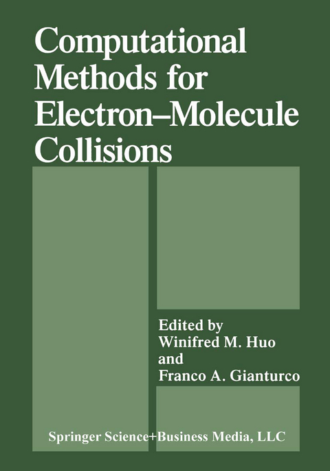 Computational Methods for Electron&mdash;Molecule Collisions - 