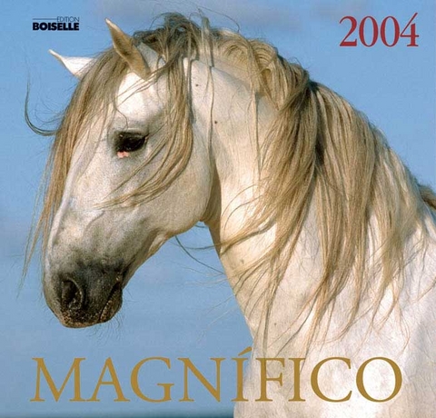 Magnifico 2004