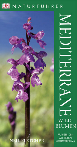 Mediterrane Wildblumen