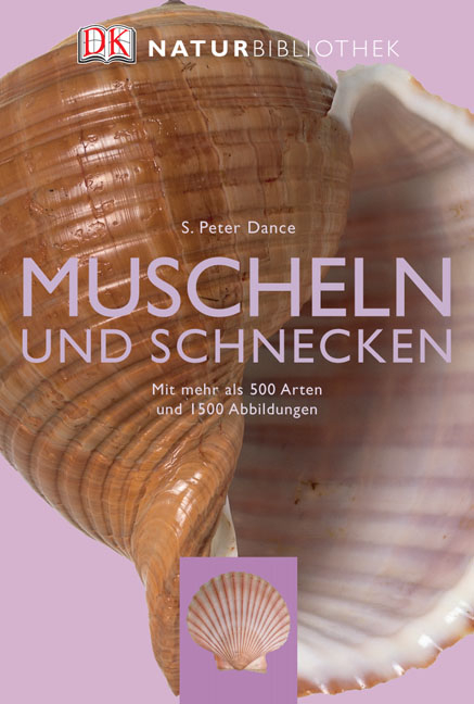 Muscheln und Schnecken - S Peter Dance
