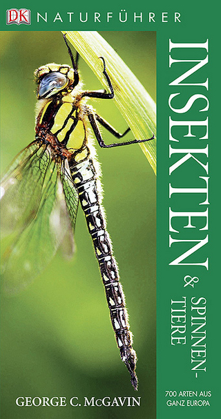 Insekten und Spinnentiere
