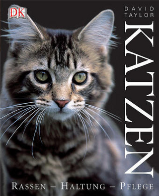 Katzen