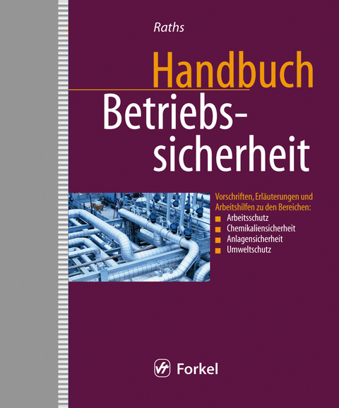Handbuch Betriebssicherheit - Hans-Peter Raths