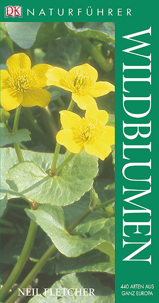 Wildblumen